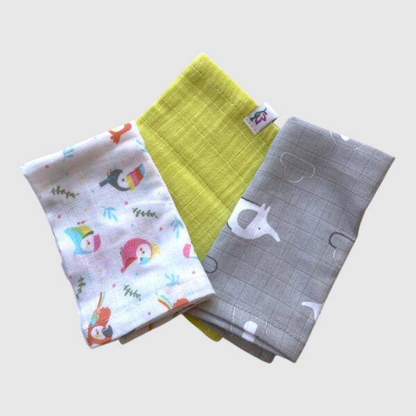 Oasis Wipes Combo (Pack of 3)